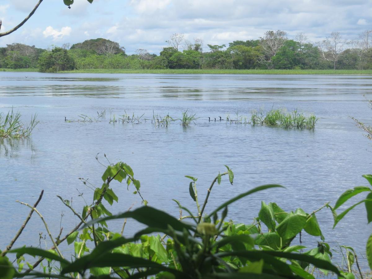 Hotel Eware Refugio Amazonico Puerto Nariño Zewnętrze zdjęcie