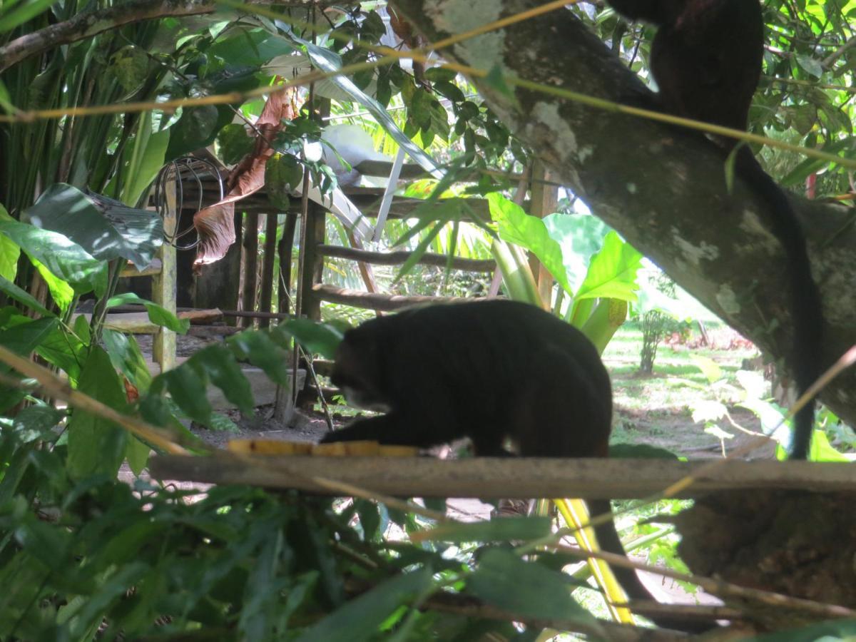 Hotel Eware Refugio Amazonico Puerto Nariño Zewnętrze zdjęcie
