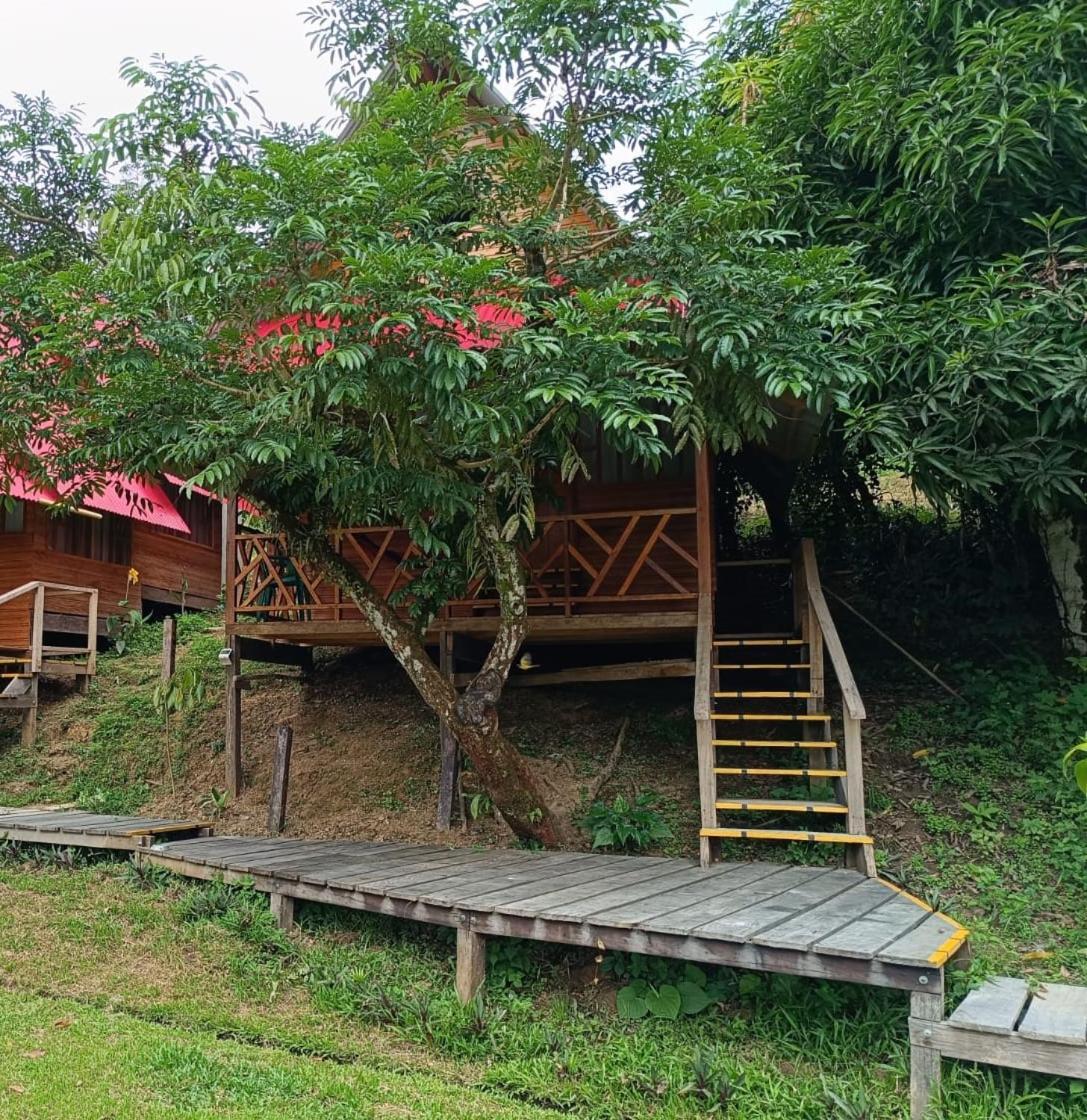 Hotel Eware Refugio Amazonico Puerto Nariño Zewnętrze zdjęcie