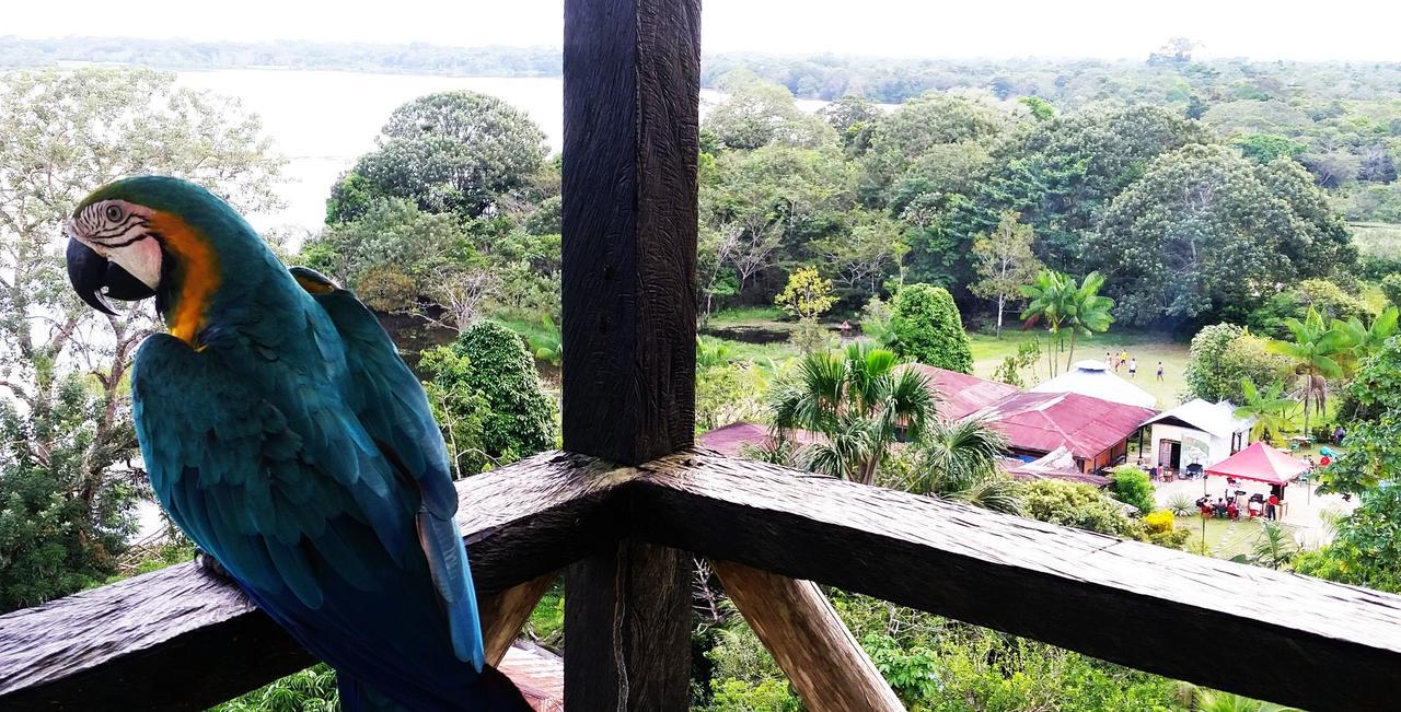 Hotel Eware Refugio Amazonico Puerto Nariño Zewnętrze zdjęcie