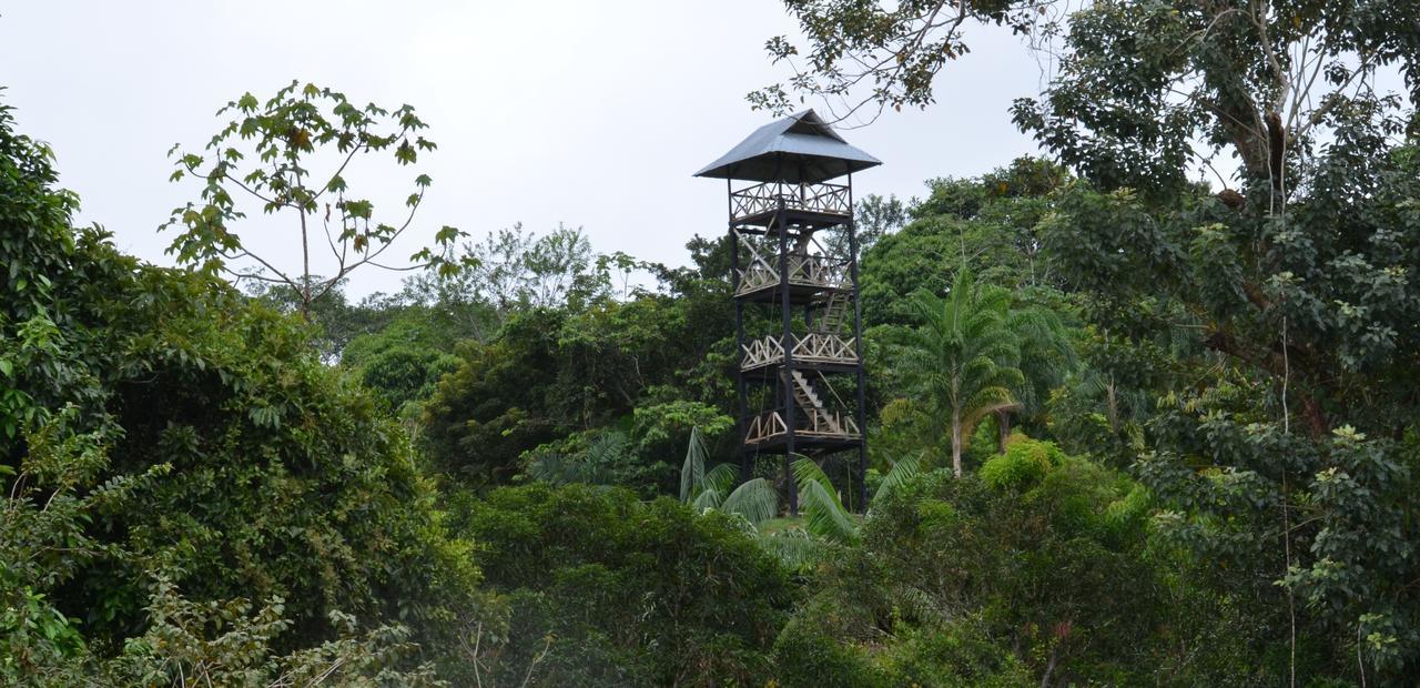 Hotel Eware Refugio Amazonico Puerto Nariño Zewnętrze zdjęcie