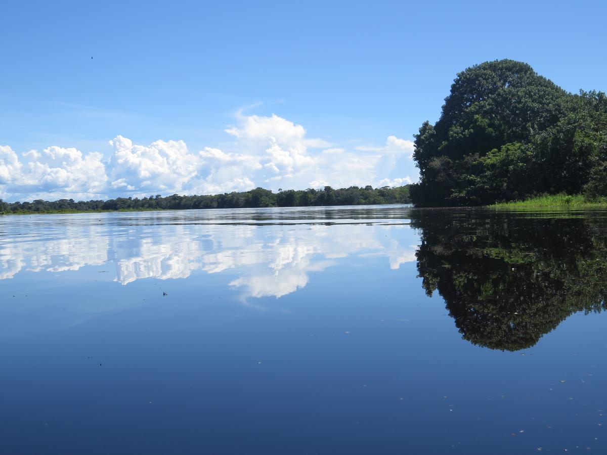 Hotel Eware Refugio Amazonico Puerto Nariño Zewnętrze zdjęcie